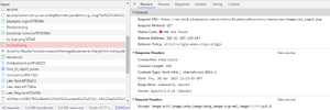 Dev Tools error 2.png