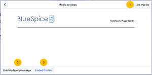 Including file dialog with the 3 described options