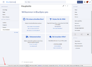 How to debug DebugToolbar4.png