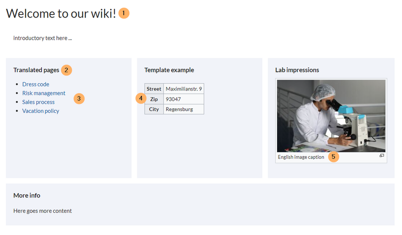 File:usrelanguage-switchlabels.png