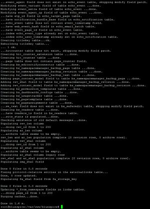 Setup:Setup bluespice maintenance update.jpg