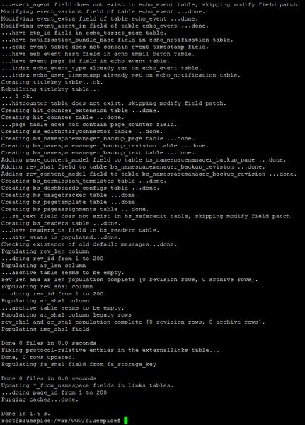 File:Setup:Setup bluespice maintenance update.jpg