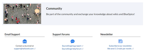 Screenshot of the "Startpage Internal It Helpdesk"