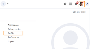 User menu profile link.png