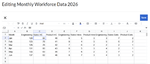 Spreadsheets edit mode.png
